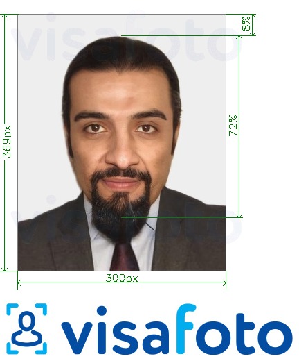 Пример за снимка за ОАЕ Visa online Emirates.com 300x369 пиксела с точна спецификация за размер