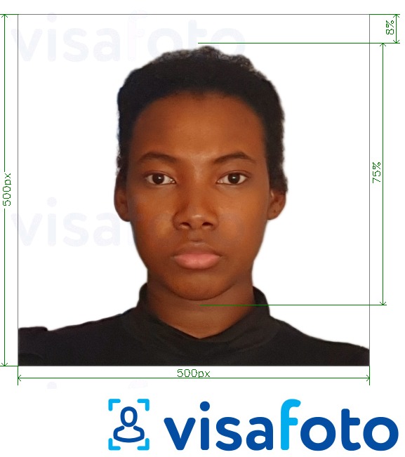 Пример за снимка за Виза на Камерун онлайн 500x500 px с точна спецификация за размер