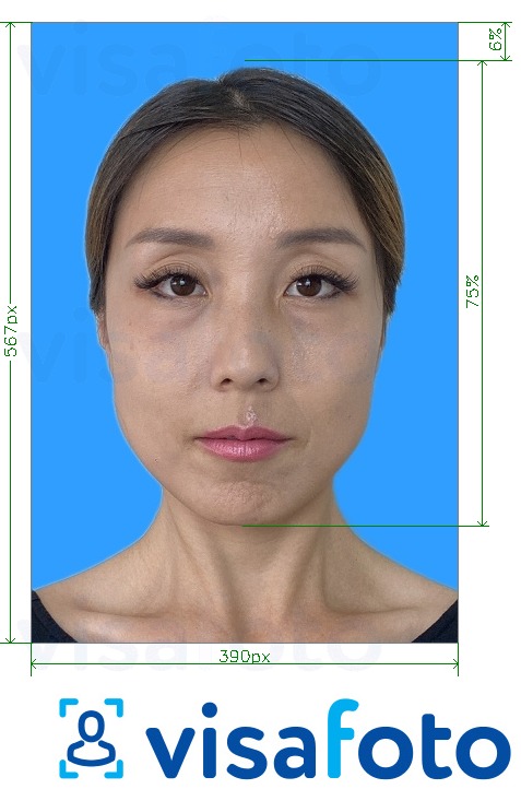 Пример за снимка за Тест на Putonghua Proficiency 390x567 пиксела син фон с точна спецификация за размер