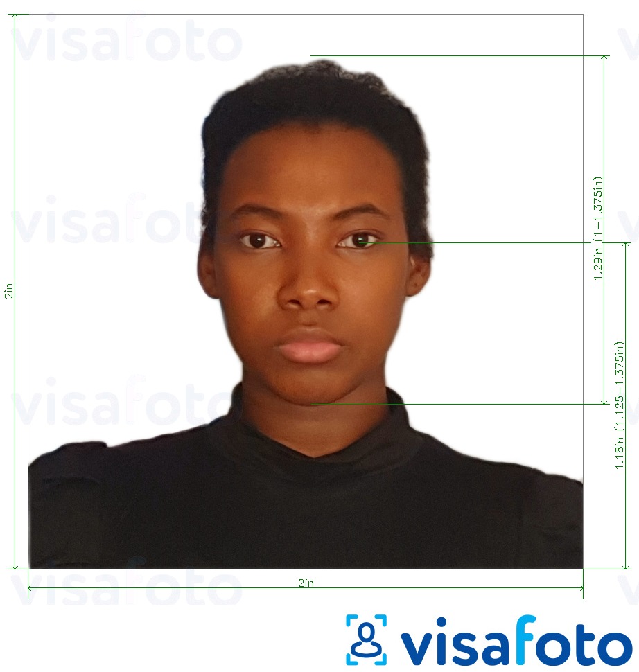 Пример за снимка за Паспорт на Доминиканската република 2x2 инча с точна спецификация за размер
