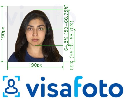 Пример за снимка за Индия Visa 190x190 px чрез VFSglobal.com с точна спецификация за размер