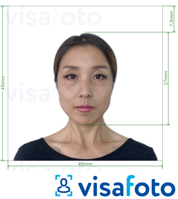 Пример за снимка за Япония Visa 45x45mm, глава 27 mm с точна спецификация за размер