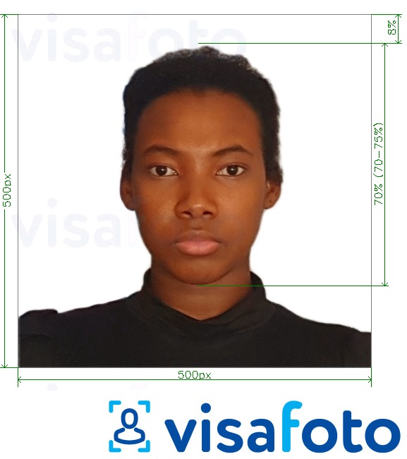 Пример за снимка за Кения e-visa онлайн 500x500 пиксела с точна спецификация за размер