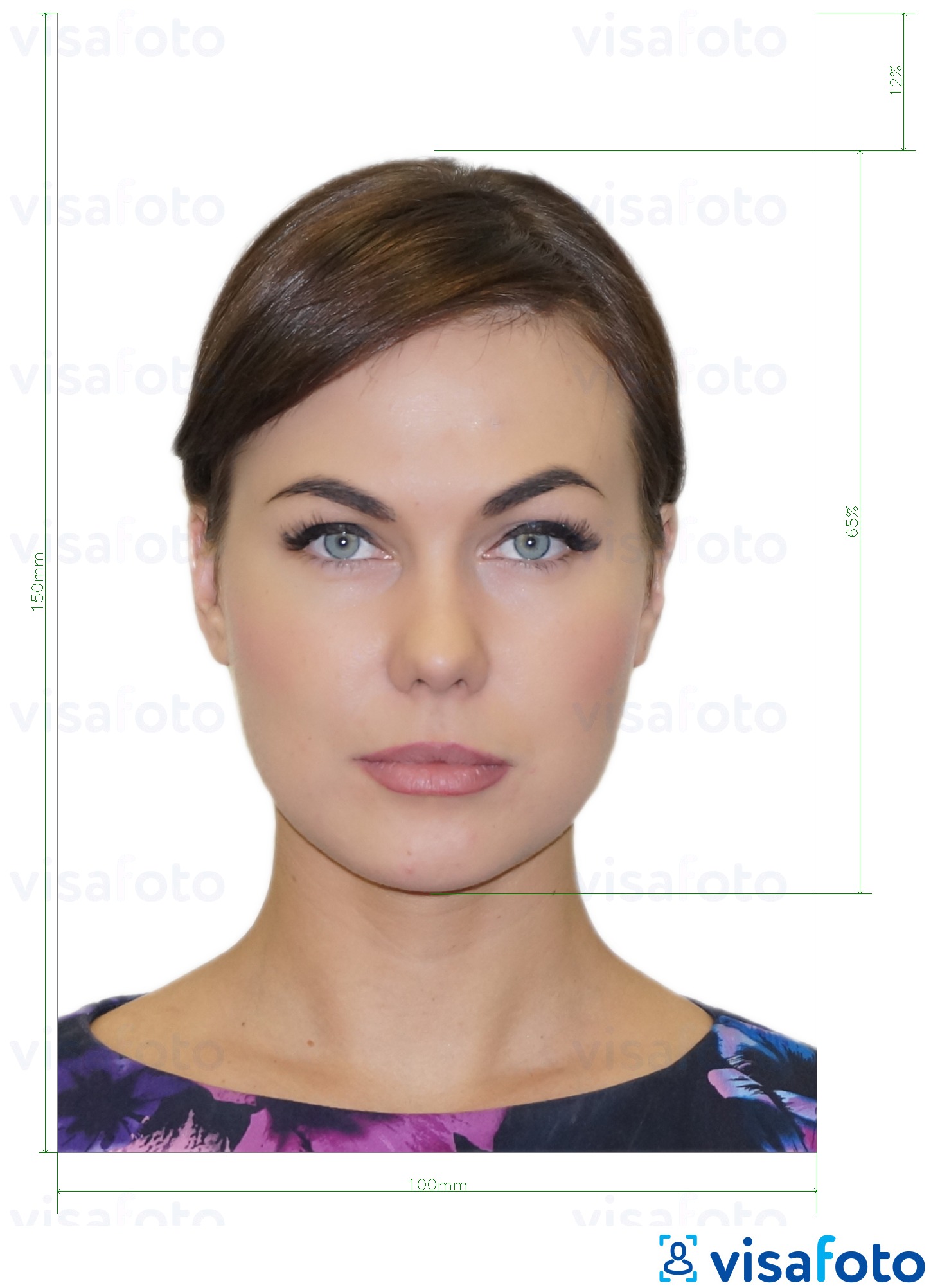 Пример за снимка за Молдова ID карта (Buletin de identifitate) 10x15 cm с точна спецификация за размер